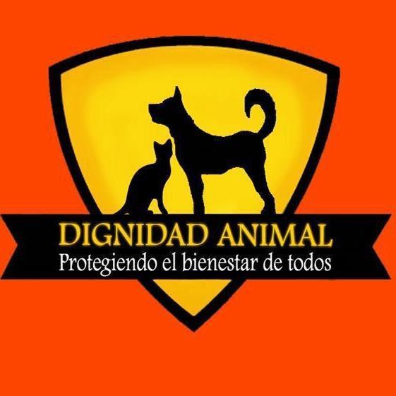 Dignidad Animal On Twitter Seguimos Sin Tener Noticias De Lulu Ella Desparecio El Domingo En Sector Lagos De Chile Cerca Del A Cuenta Esta En Tratamiento Necesitamos Ubicarla Con Urgencia Si Alguien