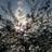 ah2b2000's profile image