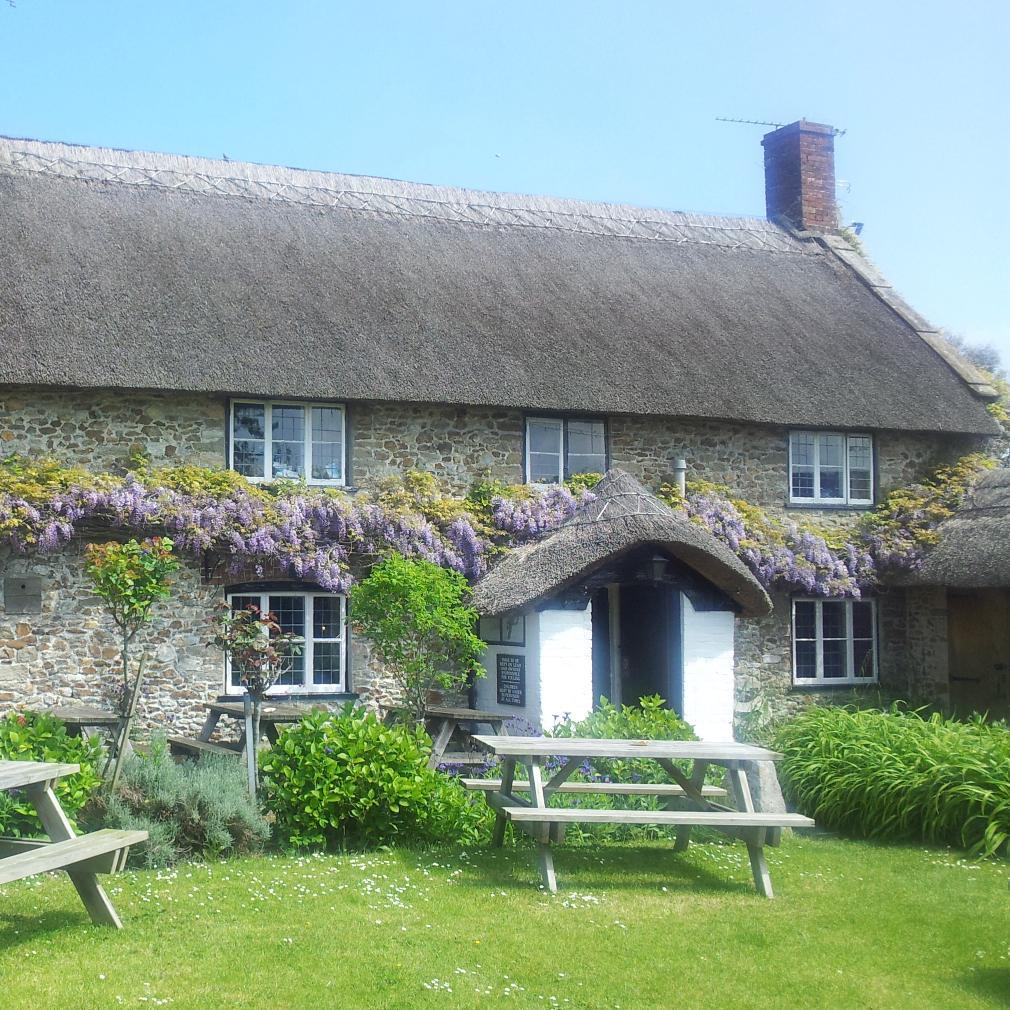 700 year old country freehouse pub in the Marshwood Vale, the beautiful rural West Dorset. Restaurant and bar food, huge log fire, 5* accommodation available.