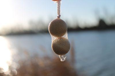 I love carpfishing, is a passion ! Mas que una pasion es una obsesion. Toujour plus et plus, innover, essayer et pêcher