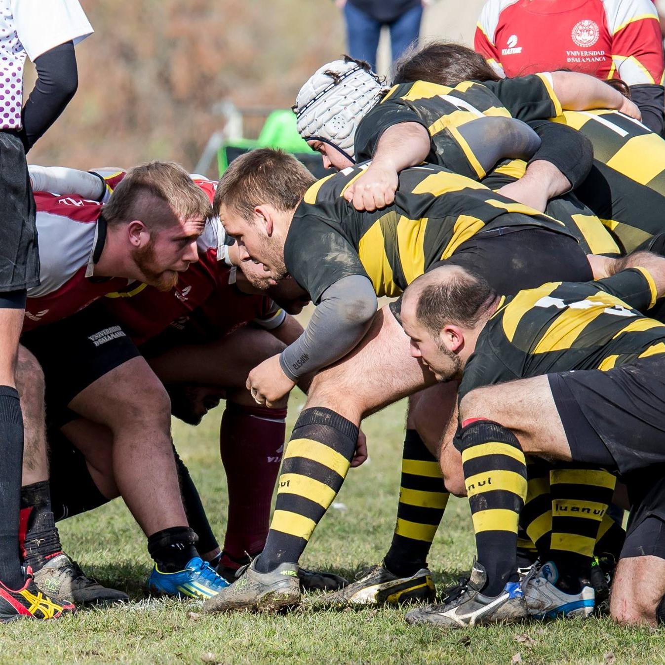 miguelangelcmar's profile picture. Leonés. Jugador de Rugby, Estudiante de Magisterio en la Universidad de León y ante todo un sufridor del Atlético de Madrid y del Reale Ademar... Go Bulls!!! ♫