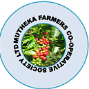 MuthekaCoffee's profile picture. Official Twitter account for Mutheka Farmers Co-operative Society Limited | World Best Coffee Producer | Co-operative Enterprise |