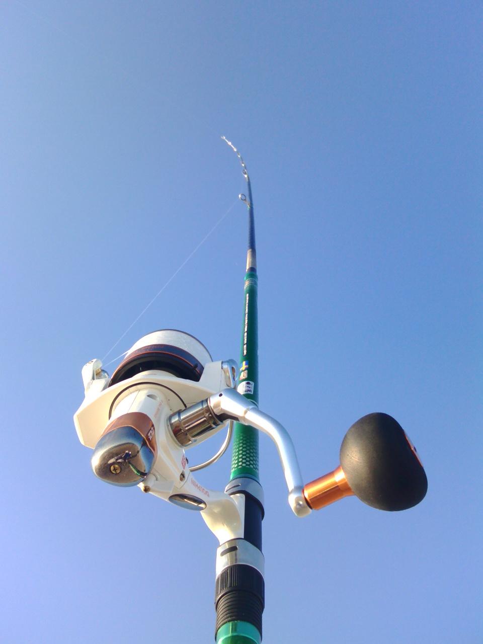 LuisRws's profile picture. 