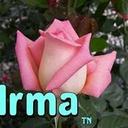 Irma Islas - @gue1955 - Twitter