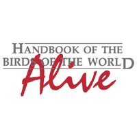 HBW Alive(@HBWAlive) 's Twitter Profileg