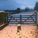 Marie Dolan Lynch - @Dolan_Lynch - Twitter