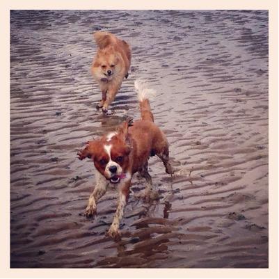 SteVondy's profile picture. 