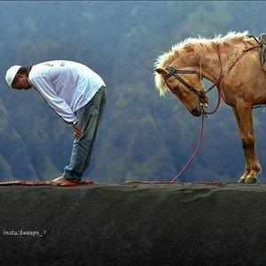 * بنو هاشم * #kau نظم معلومات ادارية ، تعليم عن بعد