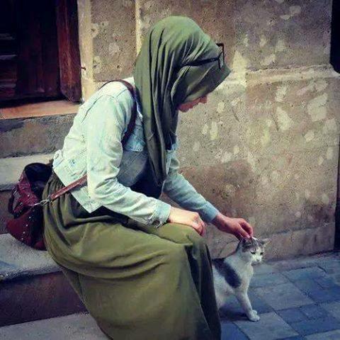 ���� ���� ������ �� ���� ������