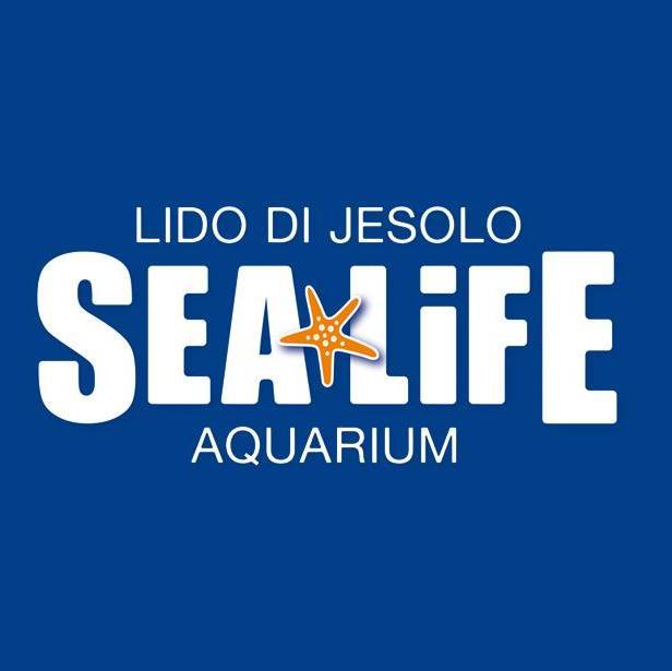 Visitare SEA LIFE sarà un'esperienza interattiva e coinvolgente. 30 vasche, 5000 esemplari di 100 specie di creature marine, come in un'immersione all'asciutto!