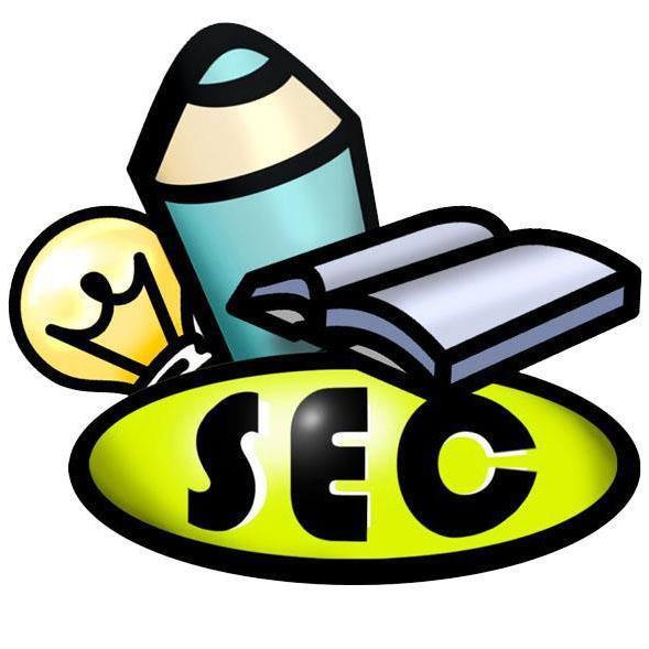 SEC je nevladino i neprofitno udruženje, osnovano radi ostvarivanja ciljeva u oblasti poboljšanja položaja dece, mladih i marginalizovanih grupa.
