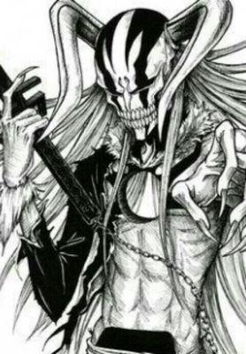 antonstein99 Profile Picture