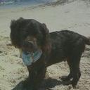 Kim Wyman - @wyman_kim - Twitter