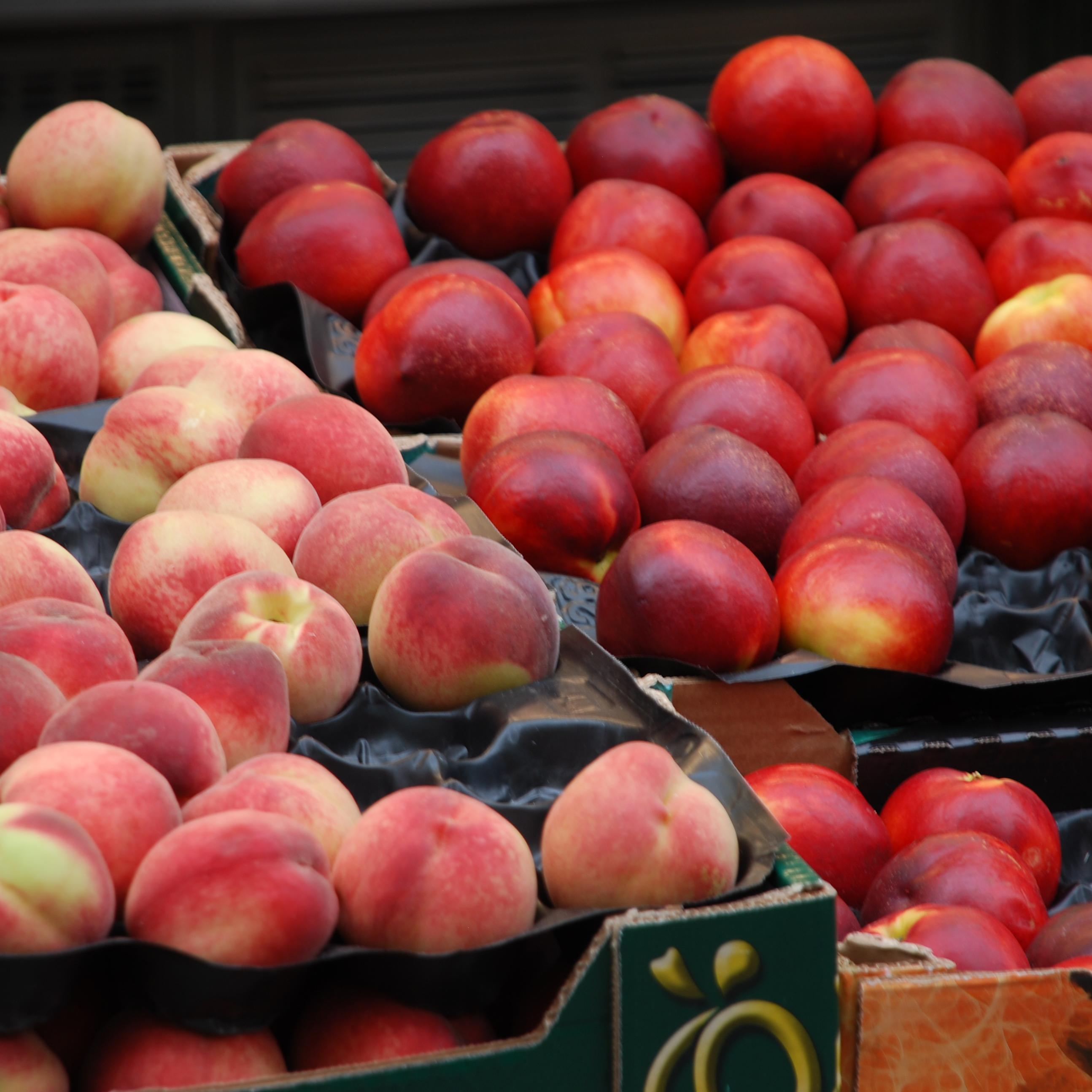 The official Twitter feed of the Eau Claire Farmers Market. Stay tuned for updates on the 2014 market season!