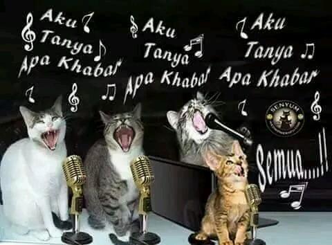 sila unfollow saya