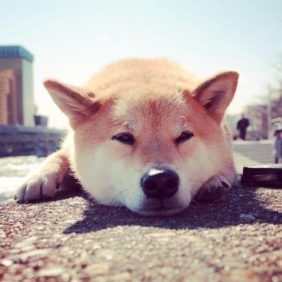 ぺーたー