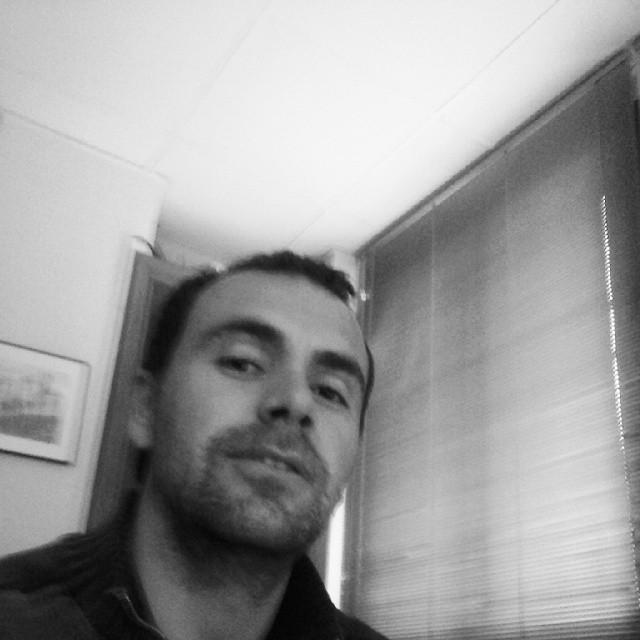 Web Developer & Designer