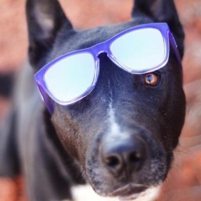 MovementMuse1's profile picture. 