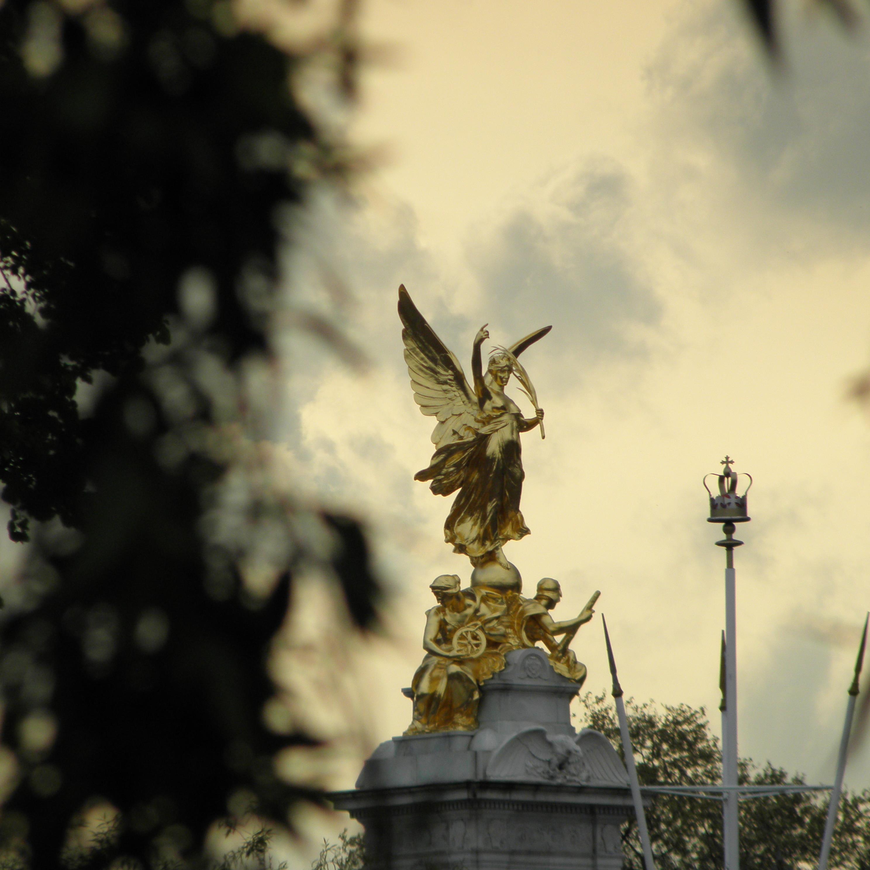 berchieale's profile picture. fiorentino doc con l'amico del cuore che veglia sempre su di me amo la musica l'arte e il mondo anglosassone per me la vita è un dono e non una condanna