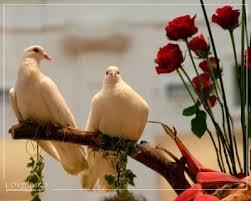 من جده جاد تعالي خاص