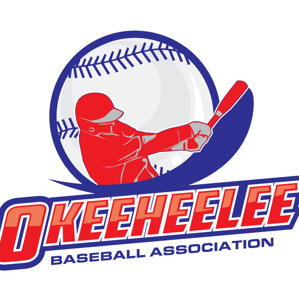 We are a youth baseball program with roughly 500 players involved in Cal Ripken and Babe Ruth Baseball. Since our inception we have over 30 State Championships.