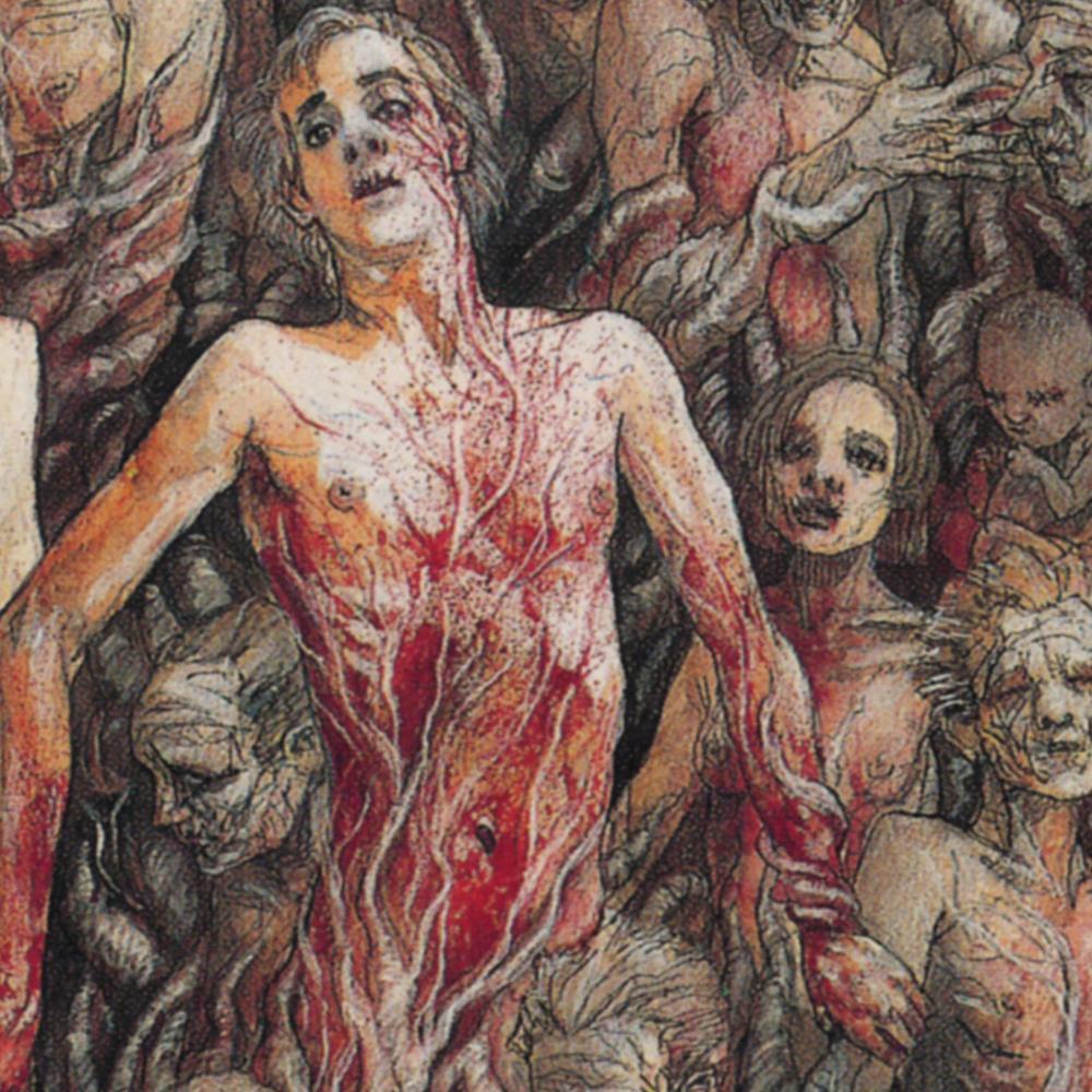 Research Account; Lifestyle and Habits within Grindcore and other genres of extreme metal.