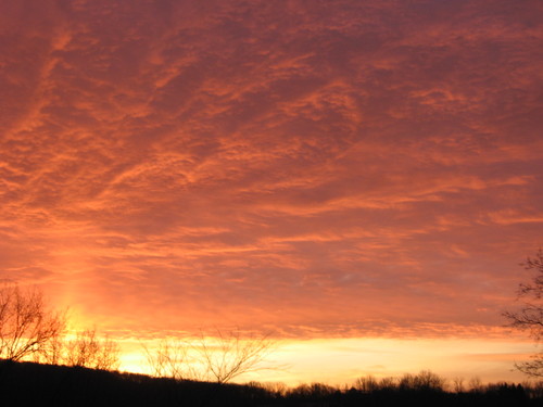 23elizabeth23's profile picture. Female. Irish. Redhead. Pregnant and due on 8/23/10 Conservative. That's me.