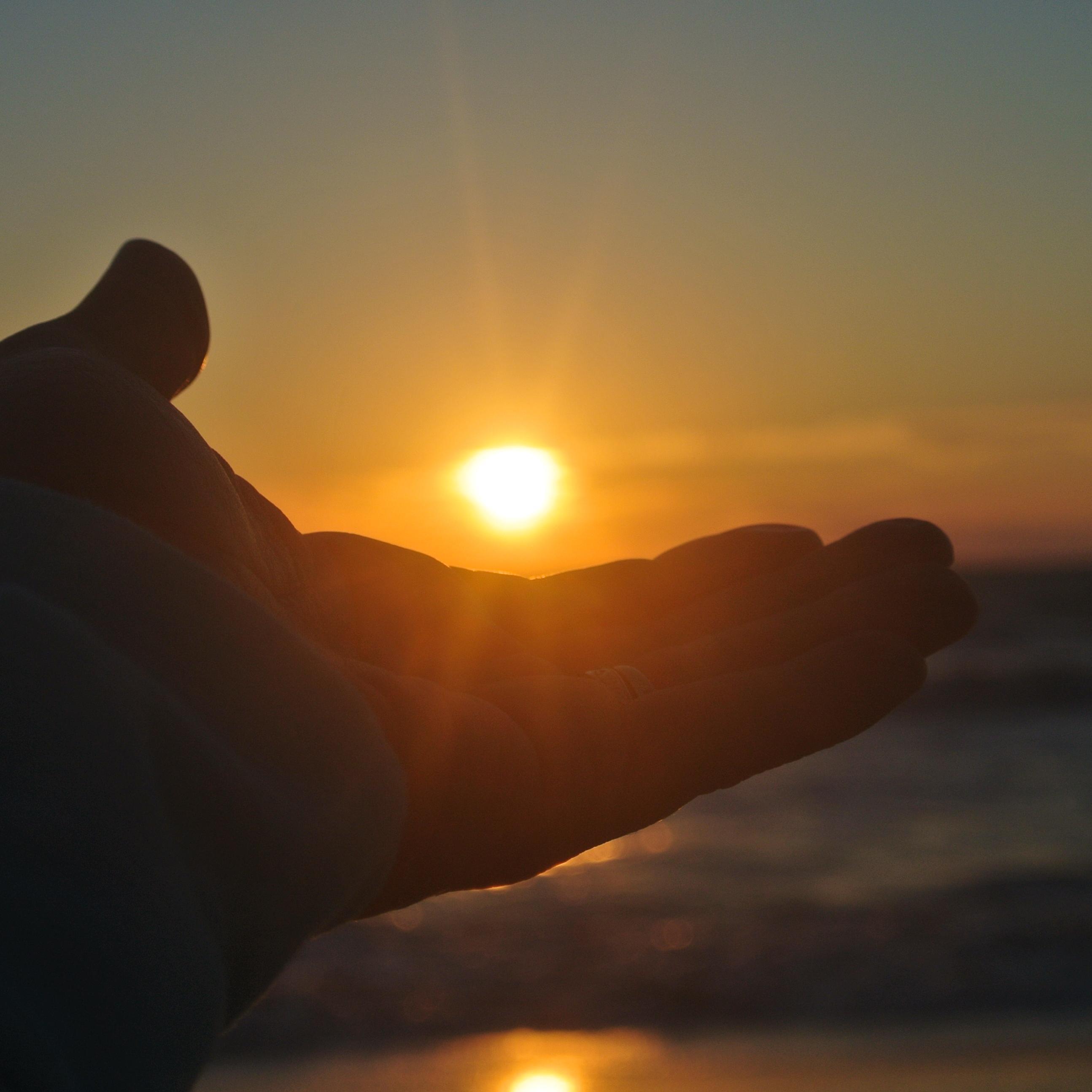 pseipproy's profile picture. 