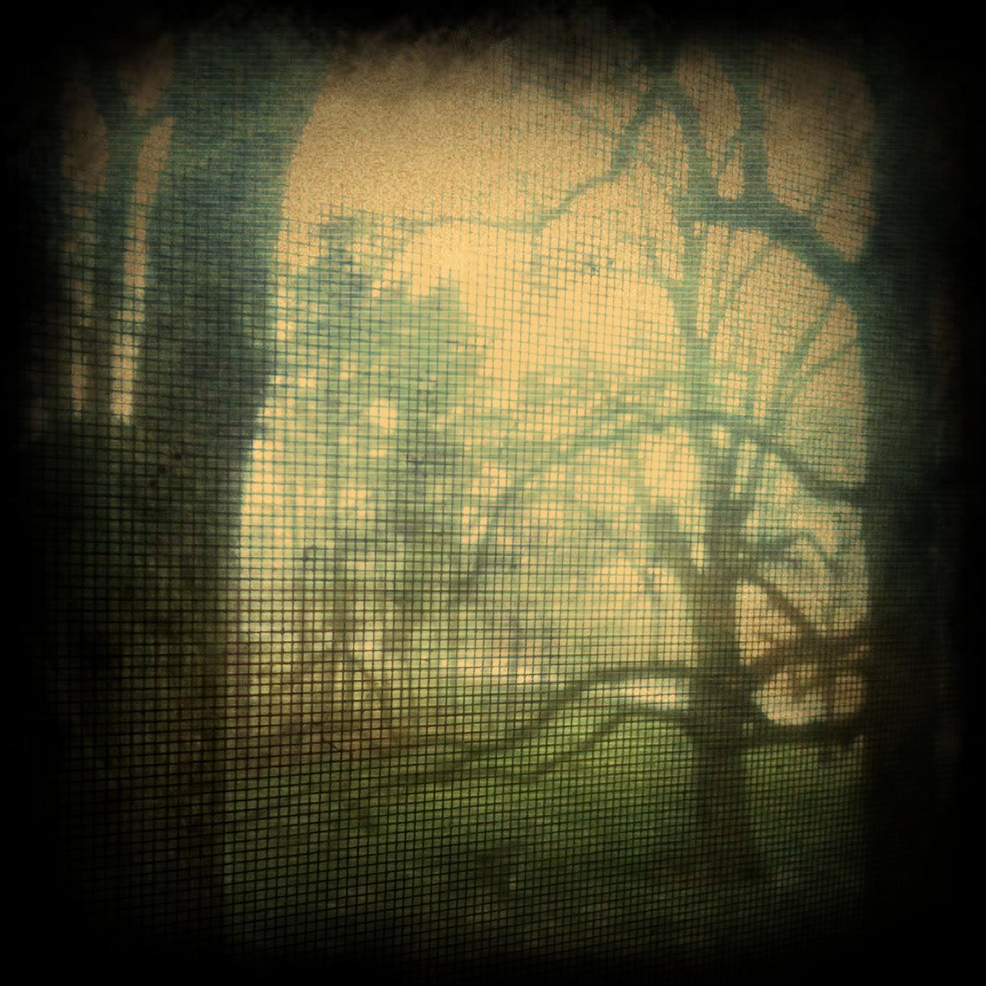 KroovyRookas's profile picture. The shock sending my dadda beating his bruised and kroovy rookas against unfair Bog in his Heaven.