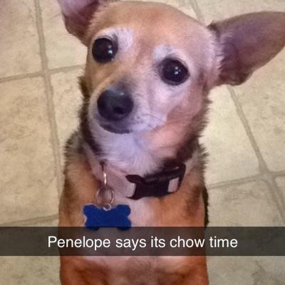 kimdavis999's profile picture. 