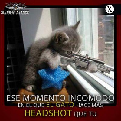 minecraft, COD y informacion