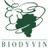 biodyvin's profile image