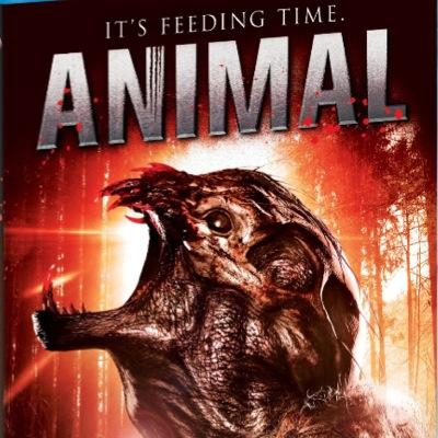 Official Twitter For Animal The Movie @LizGillies @KekePalmer @brett_simmons @jeremysumpter @paul_icon @Parker_Young @HutsonTrillo OUT NOW ON BLU-RAY!!