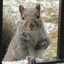 Ted Graf - @Ted_Graf - Twitter