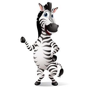 Zebra House Removals is a small family run business based in Warrington, Cheshire.