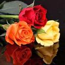 Joud Joud (@030e51563e774e4) Twitter