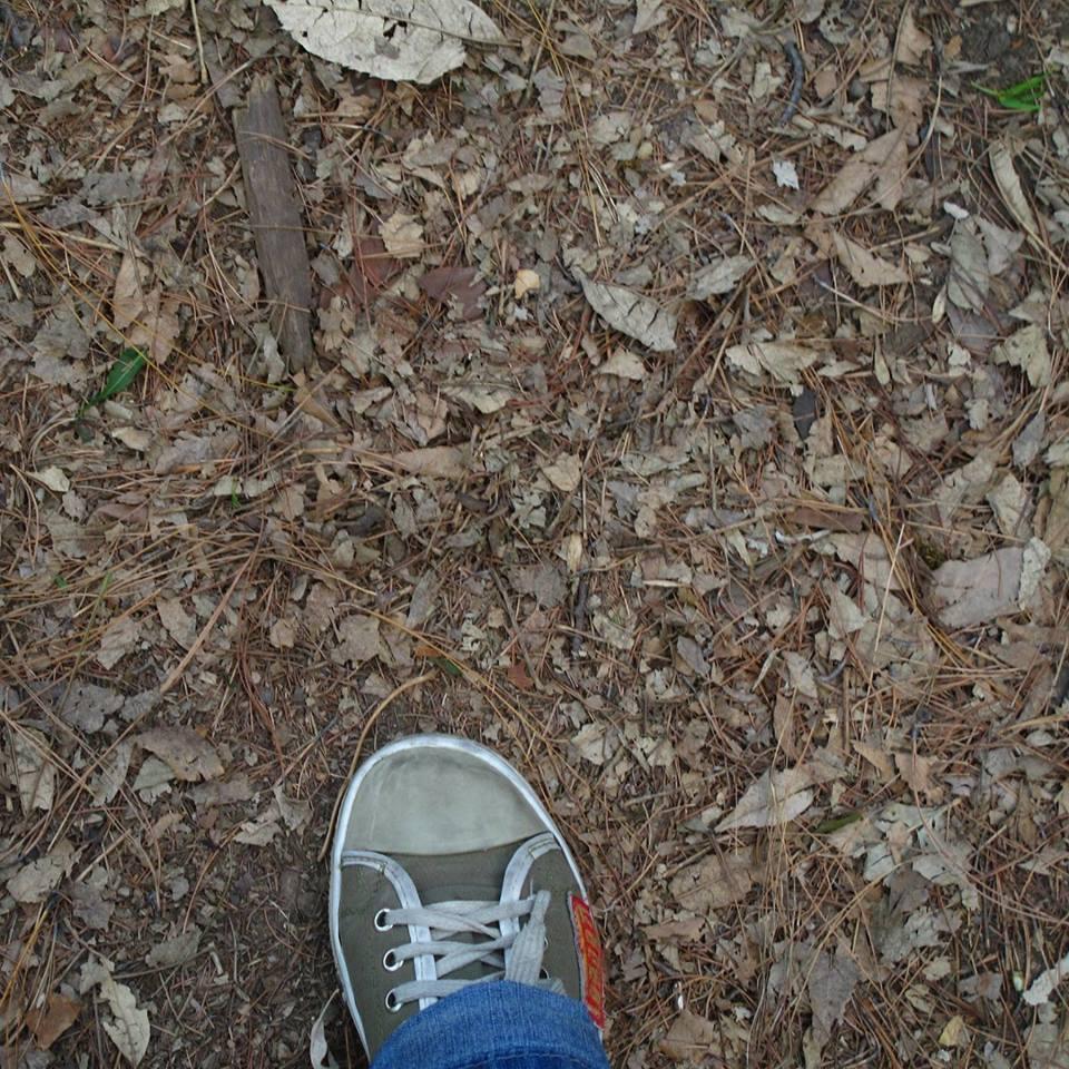 gabriela_paezc's profile picture. 