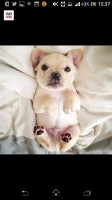 kimmalaala's profile picture. 