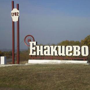 enachka42's profile picture. 