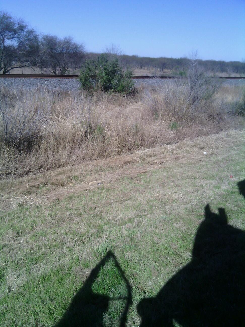 Elllllllkuuuy's profile picture. 