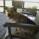 Don Bovard - @drbwm1 - Twitter