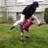 jbdcarns's profile image