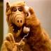 Alf (@el_comandante5) Twitter profile photo Alf (@el_comandante5) Twitter profile photo