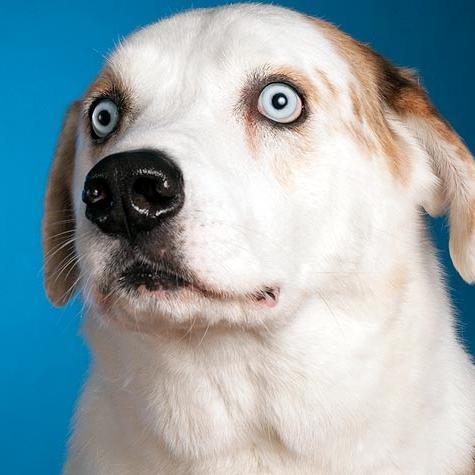 oldmanchuk's profile picture. 