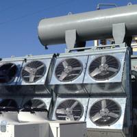 Neeltran (@neeltran) 's Twitter Profile