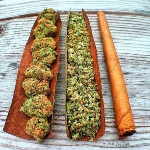Bringing you content that only the true stoners can relate to.