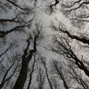 Cindy Cloud - @cirruslee55 - Twitter