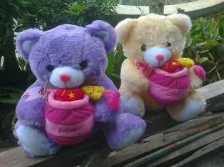 Name : Erina Carolina Violeta Efendi_ Usaha Home Boautique Erina FashioN And Distributor Parfum ori FM Polandia