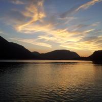 Susi L (@susiclaw) 's Twitter Profile