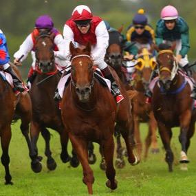 UKracingtips19's profile picture. Horse racing tipster hoping to make alot of profit!